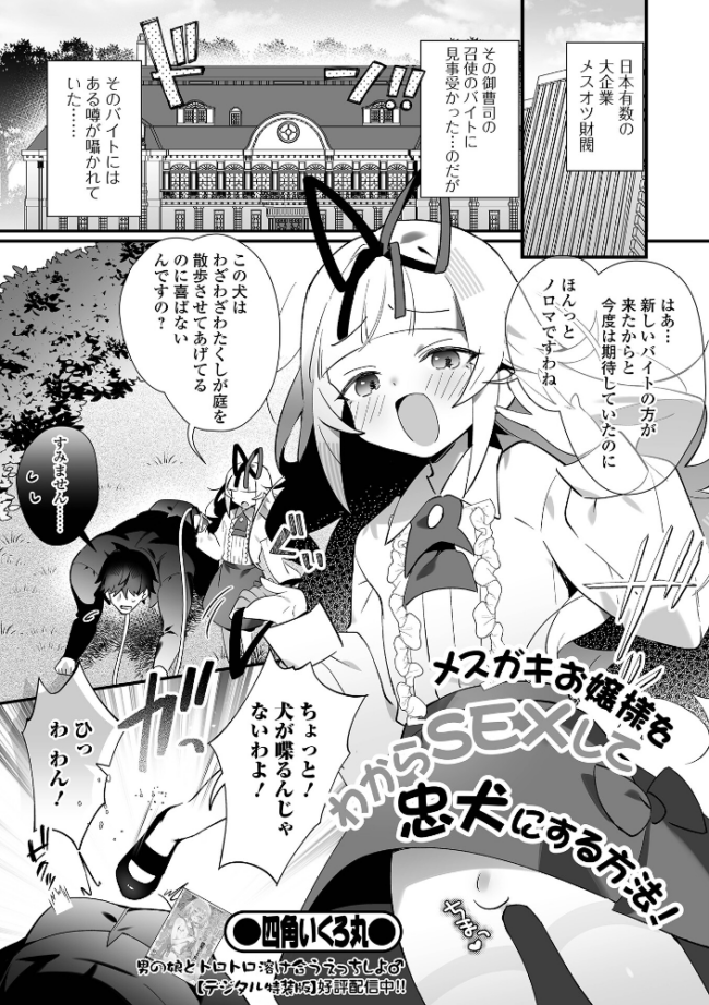 メスガキお嬢様をわからSEXして忠犬にする方法! 四角いくろ丸 一水社編集部 サンプル画像