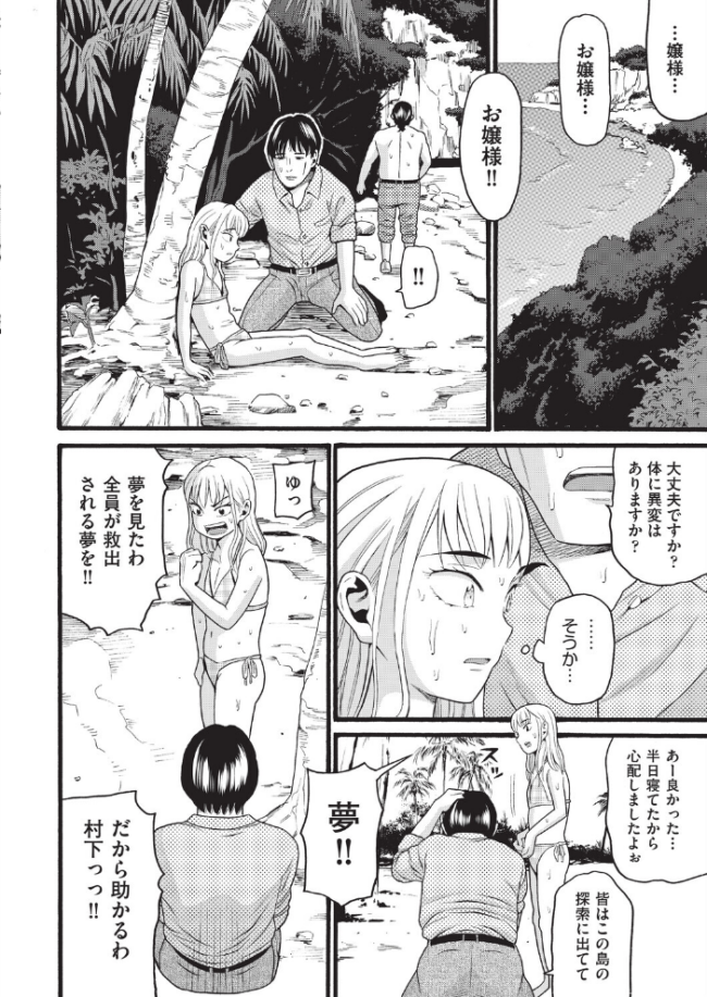 無人島漂着  ハッチ サンプル画像