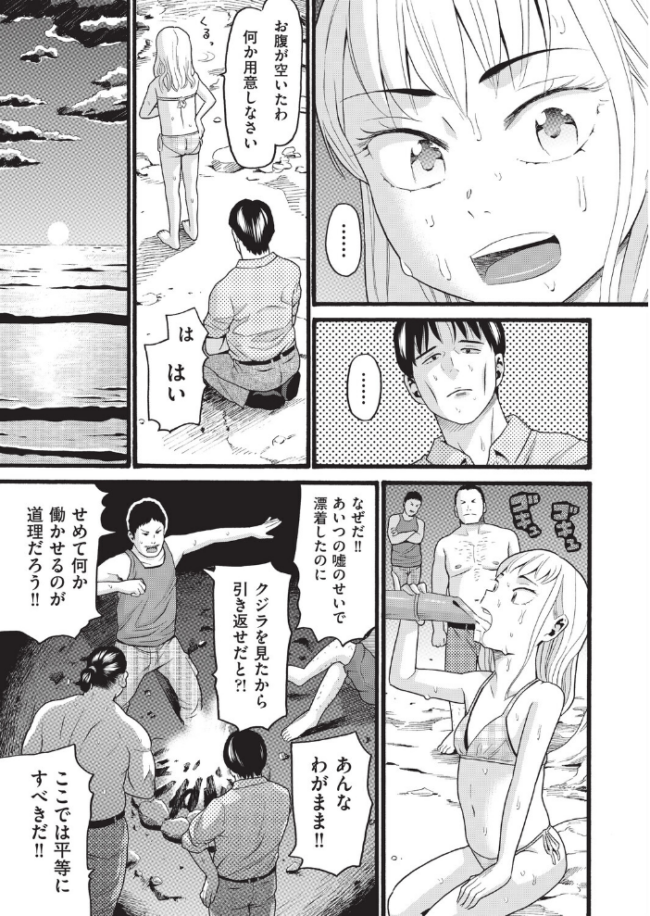 無人島漂着  ハッチ サンプル画像