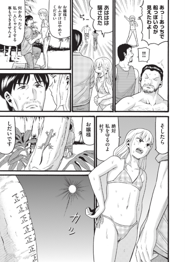 無人島漂着  ハッチ サンプル画像