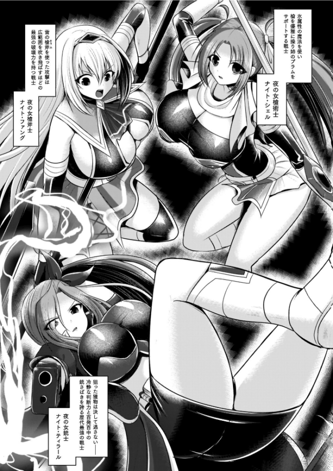 夜の女閃光闘士ナイト・エクレール セレス龍 サンプル画像