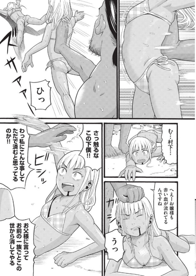 無人島漂着  ハッチ サンプル画像