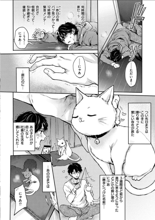 夢現ロマンティック 雛原えみ サンプル画像