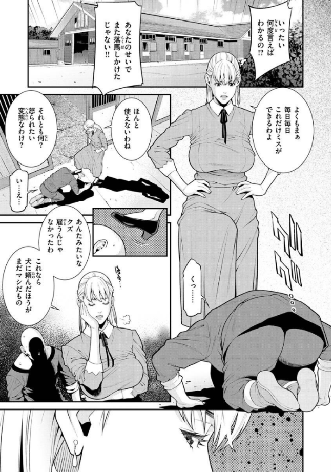 ヤラレ妻 終焉 サンプル画像