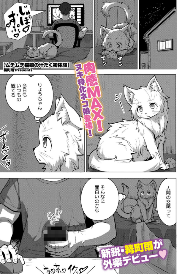 ムチムチ猫娘の汁だく初体験 篝町雨 サンプル画像