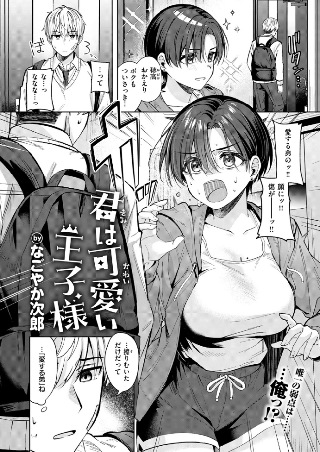 君は可愛い王子様 なごやか次郎 サンプル画像