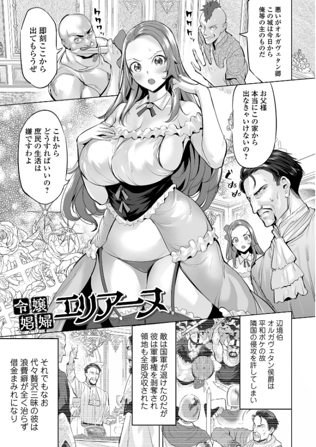堕ちたプライド  えれ2エアロ サンプル画像
