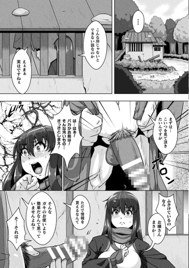 サムライヴァンダリズム THE COMIC 李星 ONEONE1 サンプル画像