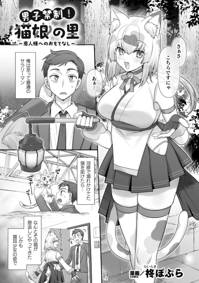 男子禁制!猫娘の里〜恩人様へのおもてなし〜【単話】 柊ぽぷら サンプル画像