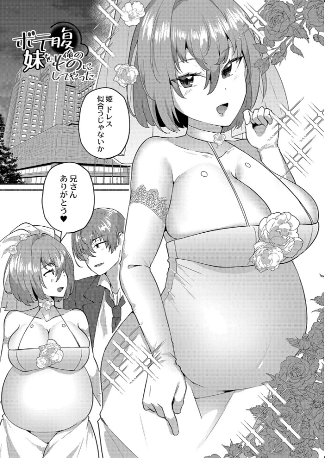 大丈夫。実妹の攻略本だよ。 FANZA特装版  スタンダードアザラシ COMIC快艶編集部 サンプル画像