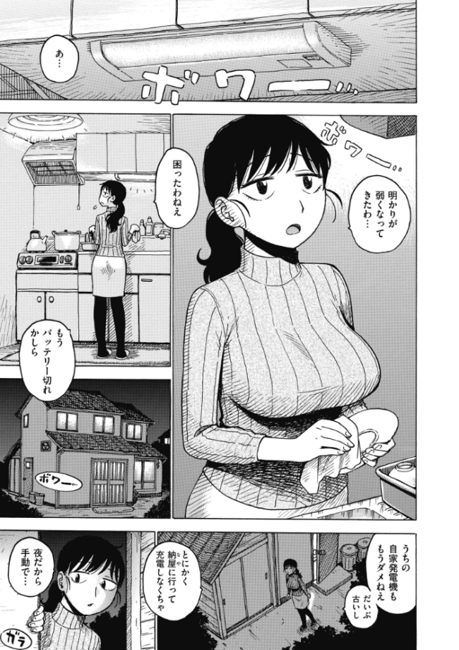 自家発電 かるま龍狼 サンプル画像