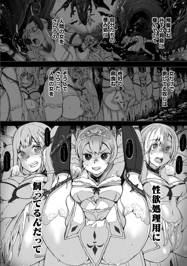 わたしの竜になりなさい! 〜ドラゴンになってファンタジー娘とHしまくり旅〜 第2話 エロ漫画 サンプル画像