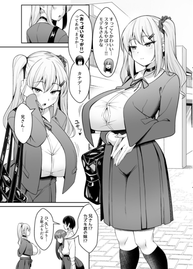 兄ラブ高湿度長乳妹に迫られて孕ませちゃう話【電子版】 ねこじまさき サンプル画像