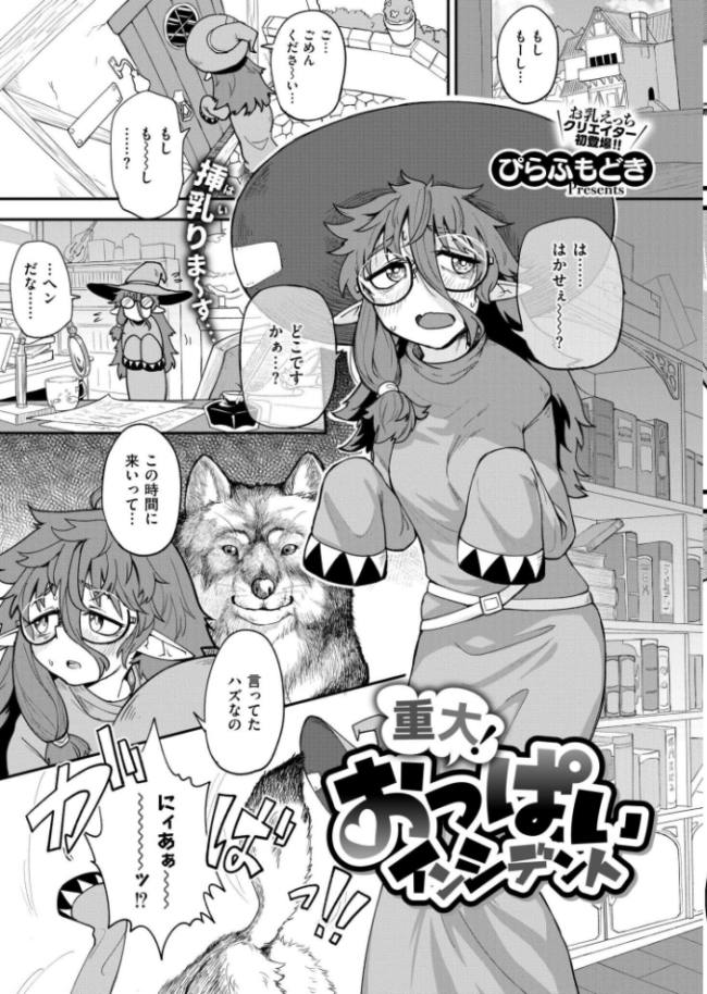 コミックカイエン(快艶) VOL.25 宮元一佐 あんのみけ おたき エビフライ定食 滝れーき たまちゆき あましょく すかいれーだー 二等辺 ひろびー ガッツ師範 ぴらふもどき 敬称略 COMIC快艶編集部 アズマヤユキコ なてぃん 入る ふじたふじお サンプル画像