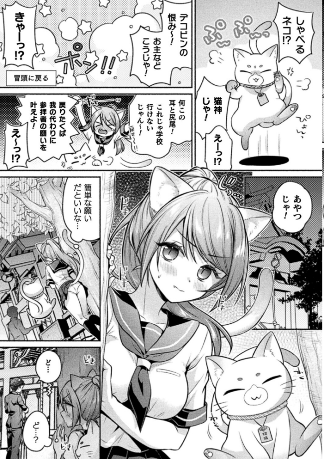猫神様の言うとおり!【単話】 エロ漫画 サンプル画像