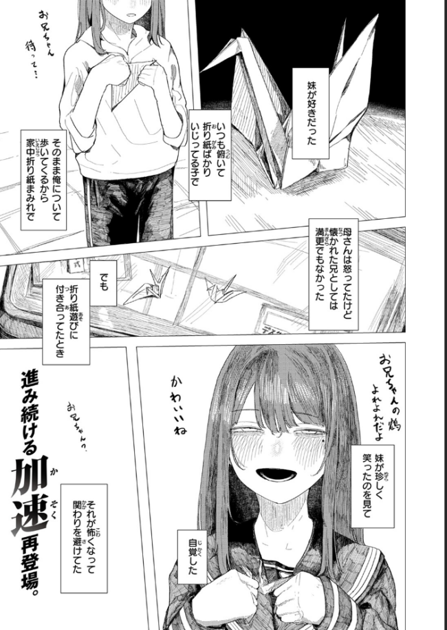 鶴の折り返し 加速 サンプル画像