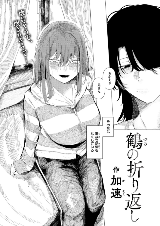 鶴の折り返し 加速 サンプル画像