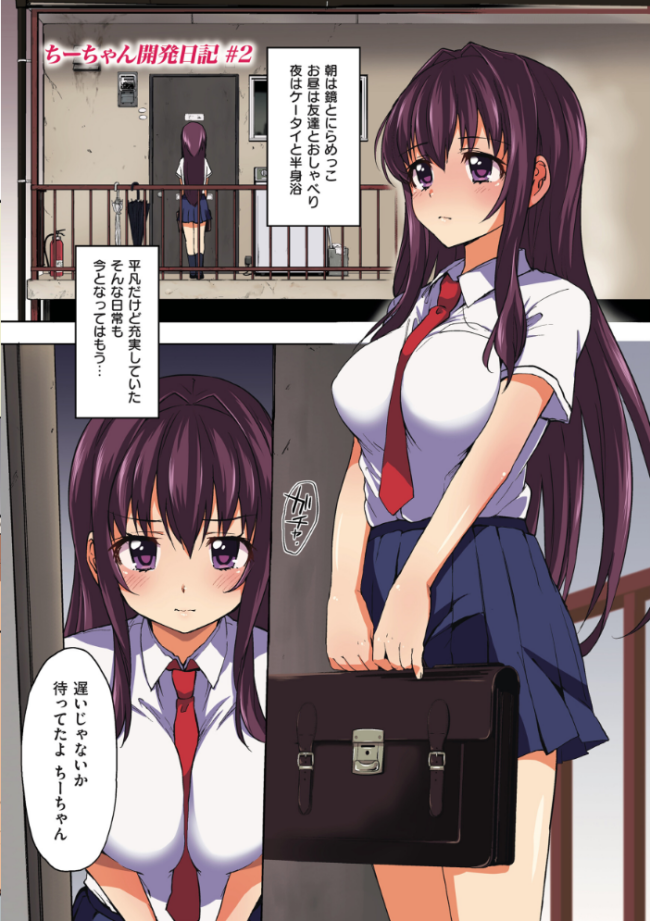 ちーちゃん開発日記【通常版】  むちゃ サンプル画像