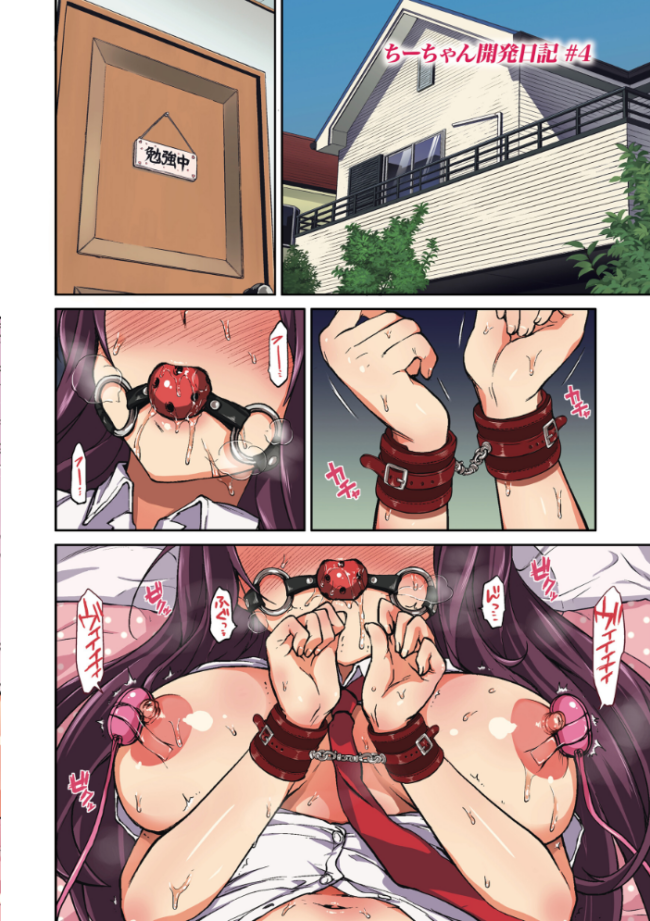 ちーちゃん開発日記【通常版】  むちゃ サンプル画像
